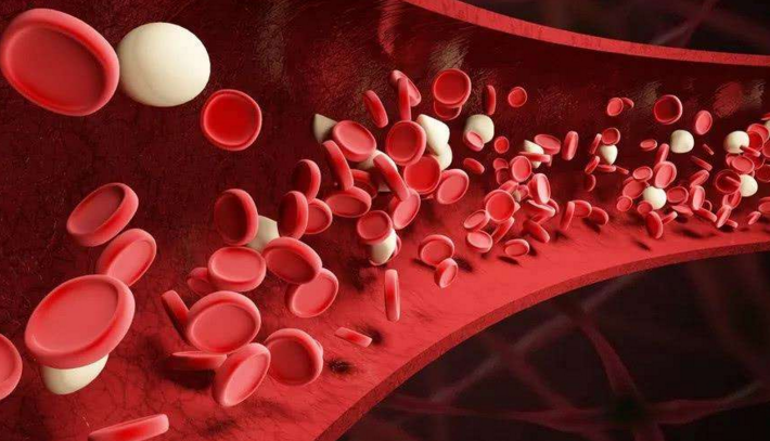 小分子肽能修复血管吗.png