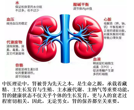 补元气对身体有什么好处,补元气和补肾有什么区别？