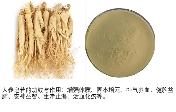 人参皂苷用法用量,哪个品牌人参皂苷效果好？