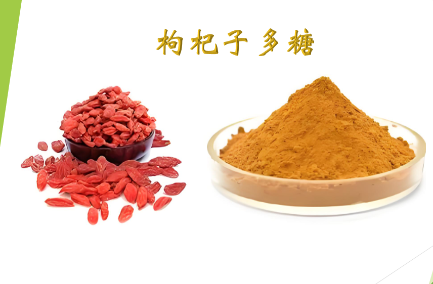 枸杞多糖与抗氧化抗衰老的关系及应用效果