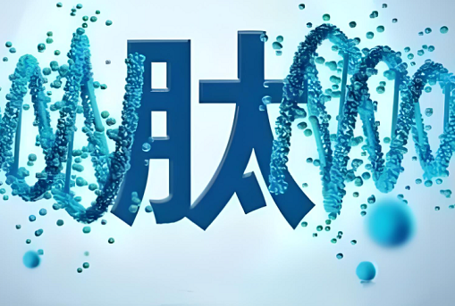 活性肽在抗衰老的靶向中的作用与改善皮肤衰老应用效果分析