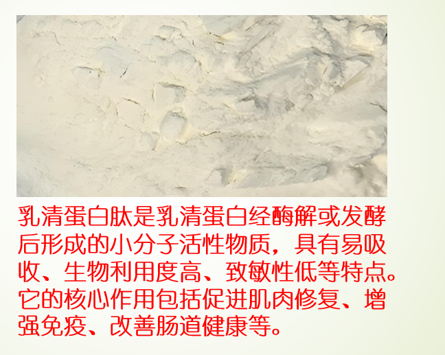 乳清蛋白肽.png