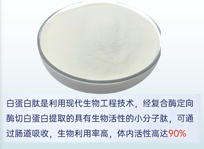白蛋白肽对肝脏的作用,白蛋白肽对肝脏有好处吗?