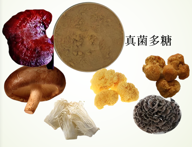 真菌多糖能对高血压有作用吗,真菌多糖能效果好吗？