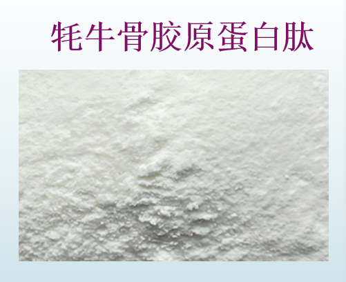 牦牛骨胶原蛋白肽有什么功能,牦牛骨胶原蛋白肽对痛风有用吗?
