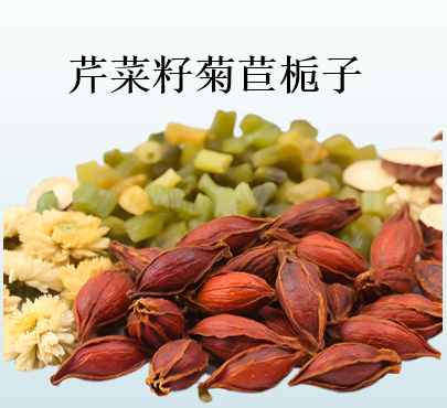 芹菜籽菊苣栀子.png
