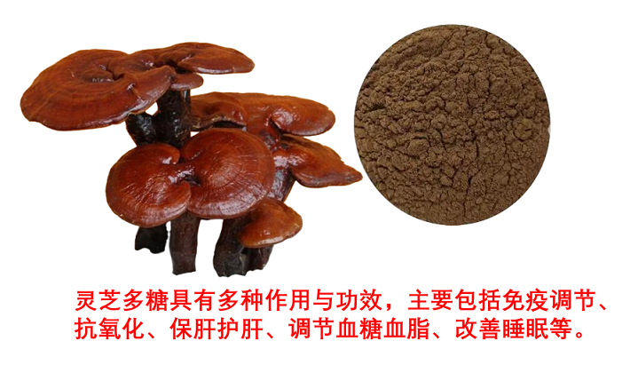 灵芝多糖的作用与功效.png 灵芝多糖的作用与功效.png