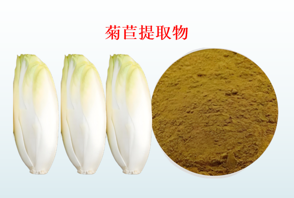 菊苣提取物与改善血脂代谢,菊苣能降血脂效果好吗？