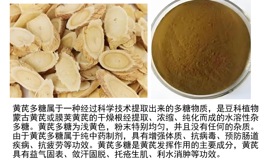 黄芪多糖与提升免疫,黄芪多糖对免疫相关疾病营养干预价值分析！